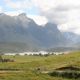 The MTB course in Paradise