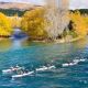 Wild Descent kayak race