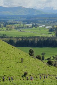 Hiking during the Spring Challenge